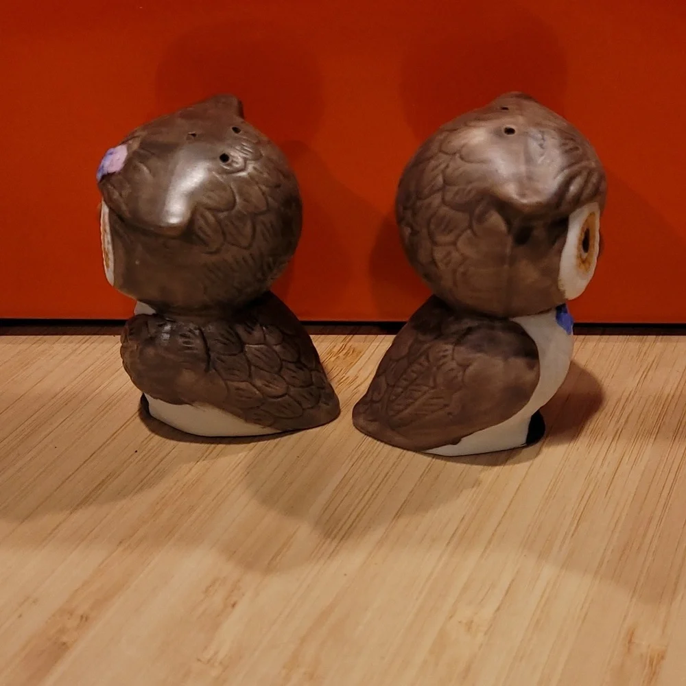 Brown and White Owl Salt & Pepper Set - Picture 2 of 4
